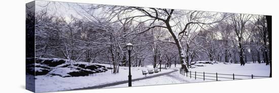 Bare Trees During Winter in Central Park, Manhattan, New York City, New York, USA-null-Stretched Canvas