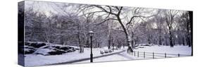 Bare Trees During Winter in Central Park, Manhattan, New York City, New York, USA-null-Stretched Canvas