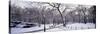 Bare Trees During Winter in Central Park, Manhattan, New York City, New York, USA-null-Stretched Canvas