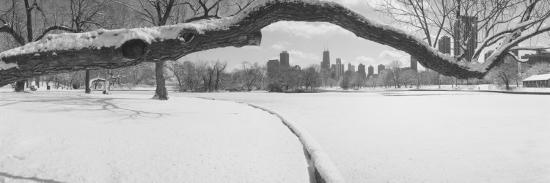Photographic Print, , large
