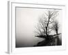 Bare Trees on a Lake Side Bank-Sharon Wish-Framed Photographic Print