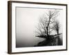 Bare Trees on a Lake Side Bank-Sharon Wish-Framed Photographic Print