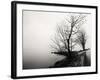 Bare Trees on a Lake Side Bank-Sharon Wish-Framed Photographic Print