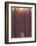 Bare Trees Silhouetted by Winter Sunset, and Reflected in Pond-Woolfitt Adam-Framed Photographic Print
