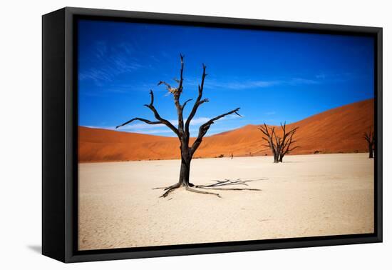 Bare Trees-MJO Photo-Framed Stretched Canvas