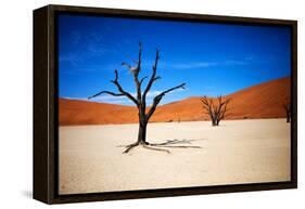 Bare Trees-MJO Photo-Framed Stretched Canvas