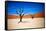 Bare Trees-MJO Photo-Framed Stretched Canvas