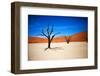 Bare Trees-MJO Photo-Framed Premium Photographic Print