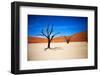 Bare Trees-MJO Photo-Framed Premium Photographic Print