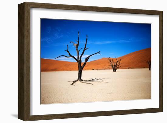 Bare Trees-MJO Photo-Framed Photographic Print