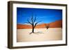 Bare Trees-MJO Photo-Framed Photographic Print