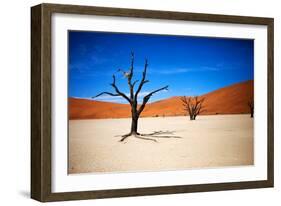 Bare Trees-MJO Photo-Framed Photographic Print