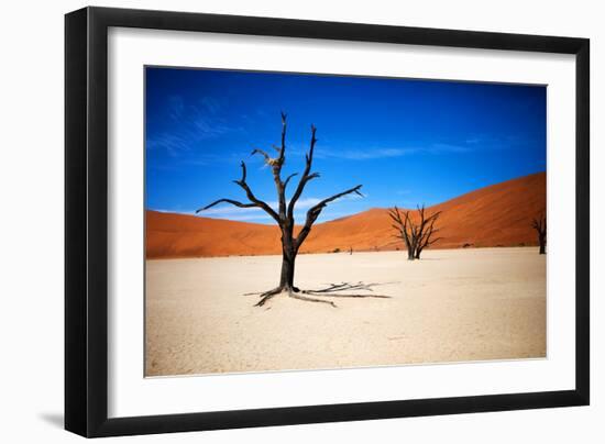 Bare Trees-MJO Photo-Framed Photographic Print