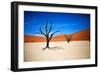 Bare Trees-MJO Photo-Framed Photographic Print