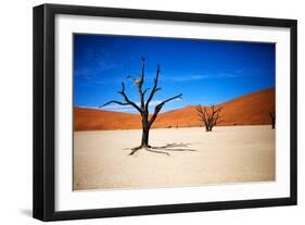 Bare Trees-MJO Photo-Framed Photographic Print