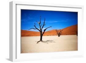 Bare Trees-MJO Photo-Framed Photographic Print