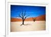 Bare Trees-MJO Photo-Framed Photographic Print