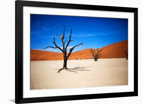 Bare Trees-MJO Photo-Framed Photographic Print