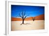 Bare Trees-MJO Photo-Framed Photographic Print