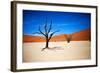 Bare Trees-MJO Photo-Framed Photographic Print