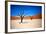 Bare Trees-MJO Photo-Framed Photographic Print