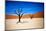 Bare Trees-MJO Photo-Mounted Photographic Print