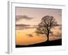 Bare Winter Tree at Sunset, the Roaches, Staffordshire, Peak District National Park, England, Unite-Chris Hepburn-Framed Photographic Print