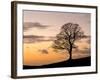 Bare Winter Tree at Sunset, the Roaches, Staffordshire, Peak District National Park, England, Unite-Chris Hepburn-Framed Photographic Print