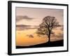 Bare Winter Tree at Sunset, the Roaches, Staffordshire, Peak District National Park, England, Unite-Chris Hepburn-Framed Photographic Print