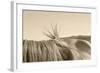 Bareback Hold-Amanda Lee Smith-Framed Photographic Print