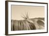 Bareback Hold-Amanda Lee Smith-Framed Photographic Print