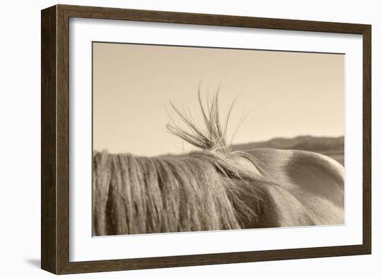 Bareback Hold-Amanda Lee Smith-Framed Photographic Print