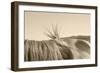 Bareback Hold-Amanda Lee Smith-Framed Photographic Print