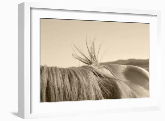 Bareback Hold-Amanda Lee Smith-Framed Photographic Print