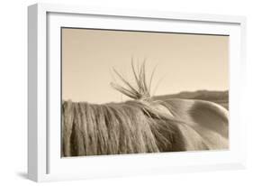 Bareback Hold-Amanda Lee Smith-Framed Photographic Print