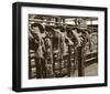 Bareback Saddles-Barry Hart-Framed Art Print