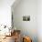 Barga, Tuscany, Italy-Bruno Morandi-Mounted Photographic Print displayed on a wall