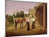 Bargaining for a Horse, 1835-William Sidney Mount-Mounted Giclee Print