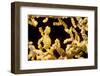 Bargibant 's pygmy seahorse on coral, Philippines-David Fleetham-Framed Photographic Print