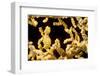 Bargibant 's pygmy seahorse on coral, Philippines-David Fleetham-Framed Photographic Print