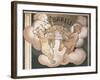 Barilla Pasta-null-Framed Giclee Print