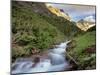 Baring Creek, Going to the Sun Mountain, Glacier National Park, Montana, USA-Chuck Haney-Mounted Photographic Print