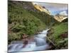 Baring Creek, Going to the Sun Mountain, Glacier National Park, Montana, USA-Chuck Haney-Mounted Photographic Print