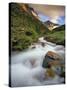 Baring Creek with Going to the Sun Mountain in Glacier National Park, Montana, USA-Chuck Haney-Stretched Canvas