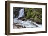 Baring Falls in Glacier National Park, Montana, USA-Chuck Haney-Framed Photographic Print