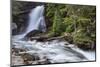 Baring Falls in Glacier National Park, Montana, USA-Chuck Haney-Mounted Photographic Print