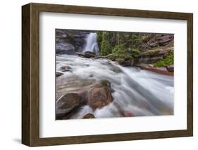 Baring Falls in Glacier National Park, Montana, USA-Chuck Haney-Framed Photographic Print