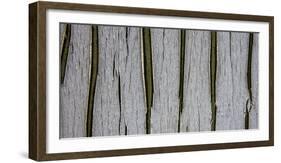 Bark Abstract-Art Wolfe-Framed Photographic Print