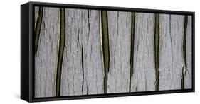 Bark Abstract-Art Wolfe-Framed Stretched Canvas