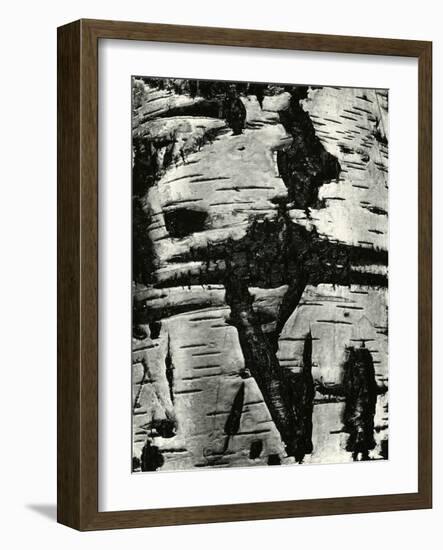 Bark Abstraction, Europe, 1971-Brett Weston-Framed Photographic Print